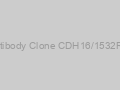 Anti-Ksp-Cadherin Antibody Clone CDH16/1532R, Unconjugated-20ug